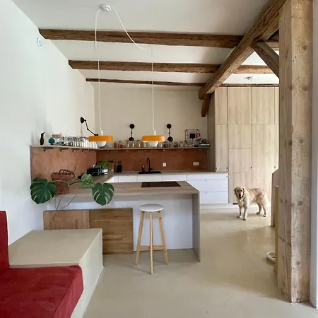 Ubytování v soukromí Maison Alsacienne Renovee Rosheim