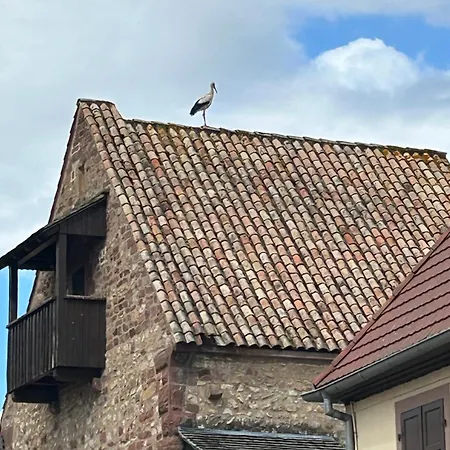 Maison Alsacienne Renovee Rum i privatbostad Rosheim