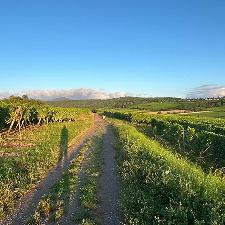 Rum i privatbostad Maison Alsacienne Renovee